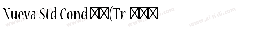 Nueva Std Cond 粗体(Tr字体转换